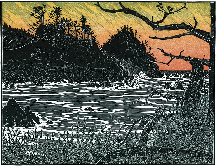 Pt. Lobos Winter Storm II — Tom Killion